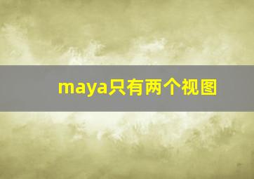 maya只有两个视图