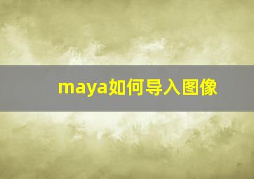 maya如何导入图像