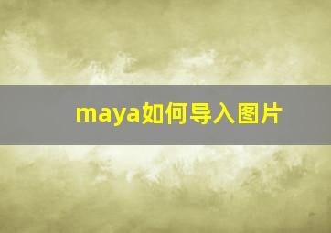 maya如何导入图片