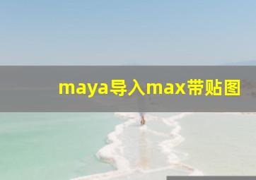 maya导入max带贴图