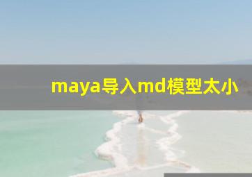 maya导入md模型太小