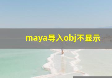 maya导入obj不显示