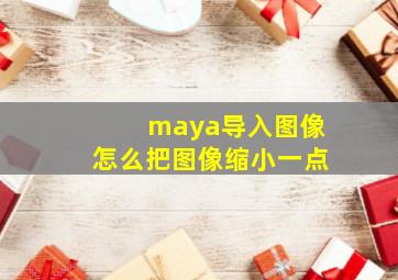 maya导入图像怎么把图像缩小一点