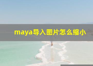 maya导入图片怎么缩小