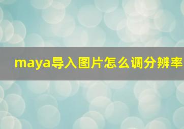 maya导入图片怎么调分辨率