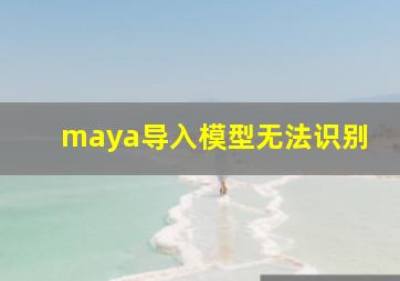 maya导入模型无法识别