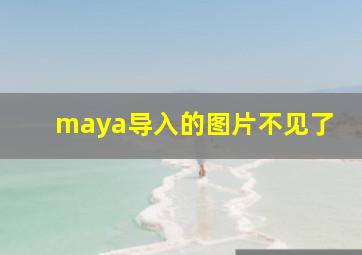 maya导入的图片不见了