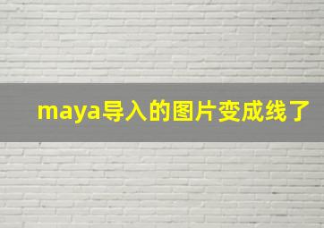 maya导入的图片变成线了