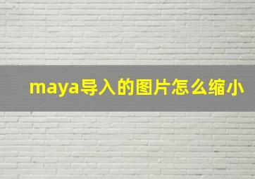 maya导入的图片怎么缩小