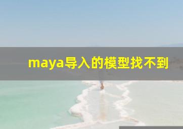 maya导入的模型找不到