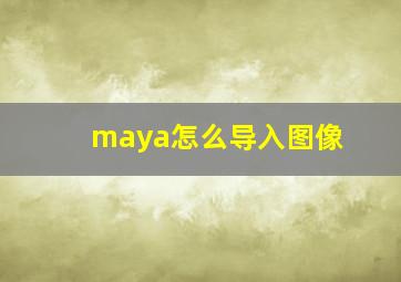 maya怎么导入图像