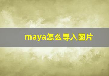 maya怎么导入图片