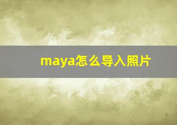 maya怎么导入照片