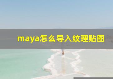 maya怎么导入纹理贴图