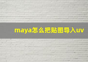 maya怎么把贴图导入uv