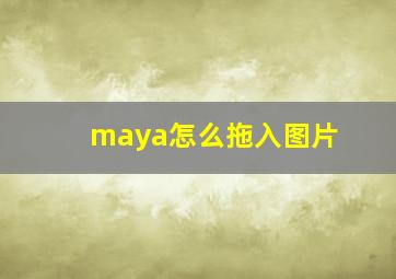 maya怎么拖入图片