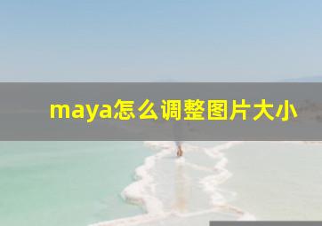 maya怎么调整图片大小