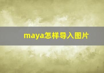 maya怎样导入图片