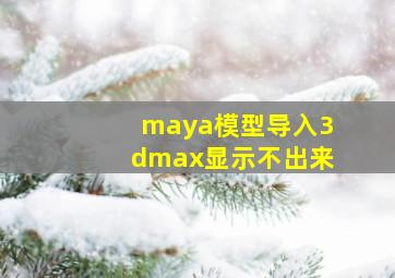 maya模型导入3dmax显示不出来