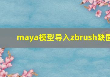 maya模型导入zbrush缺面