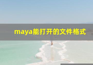 maya能打开的文件格式