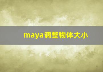 maya调整物体大小