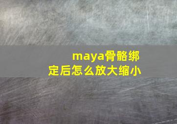 maya骨骼绑定后怎么放大缩小