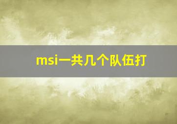 msi一共几个队伍打