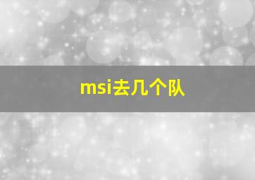 msi去几个队