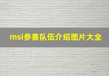 msi参赛队伍介绍图片大全