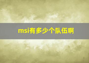 msi有多少个队伍啊