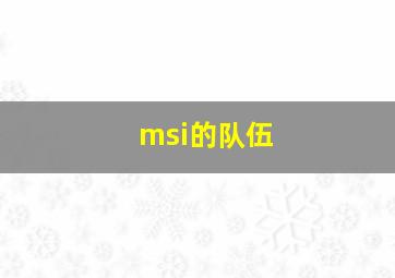 msi的队伍