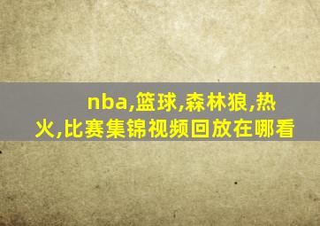 nba,篮球,森林狼,热火,比赛集锦视频回放在哪看