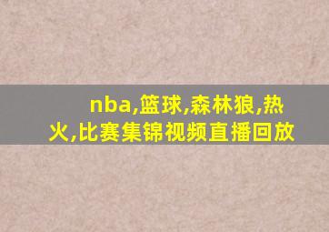 nba,篮球,森林狼,热火,比赛集锦视频直播回放