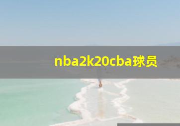 nba2k20cba球员