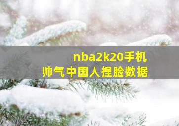 nba2k20手机帅气中国人捏脸数据