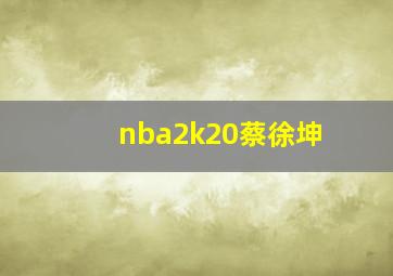 nba2k20蔡徐坤