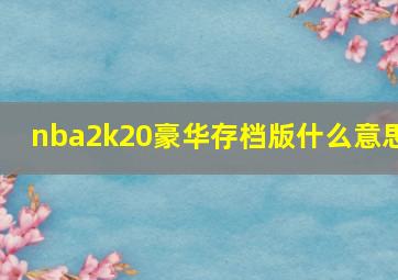 nba2k20豪华存档版什么意思