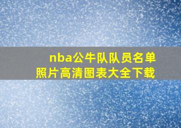 nba公牛队队员名单照片高清图表大全下载