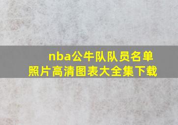 nba公牛队队员名单照片高清图表大全集下载