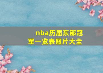 nba历届东部冠军一览表图片大全