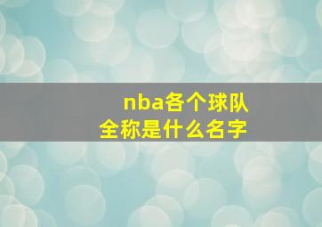 nba各个球队全称是什么名字