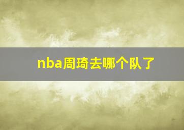 nba周琦去哪个队了