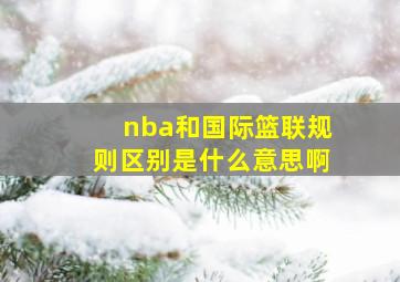 nba和国际篮联规则区别是什么意思啊