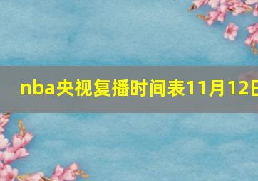 nba央视复播时间表11月12日