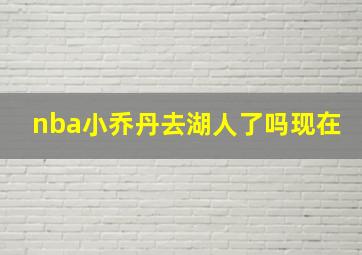 nba小乔丹去湖人了吗现在