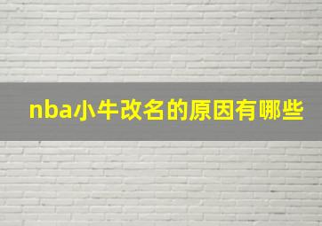 nba小牛改名的原因有哪些