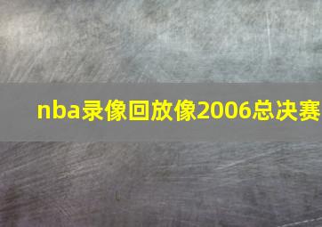 nba录像回放像2006总决赛