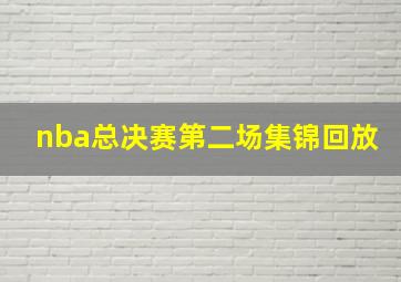 nba总决赛第二场集锦回放