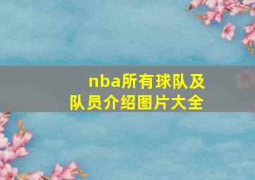 nba所有球队及队员介绍图片大全